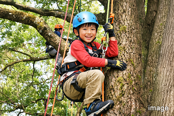 ツリーアドベンチャー